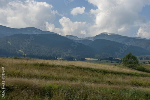 Majestic mountain top overgrown with coniferous forest, valley and glade, Rila mountain, Bulgaria 