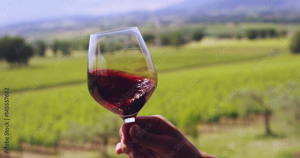 glass of red wine poured directly in the vineyards during the harvest of black grapes. concept of organic and healthy . connection with the world of wine .