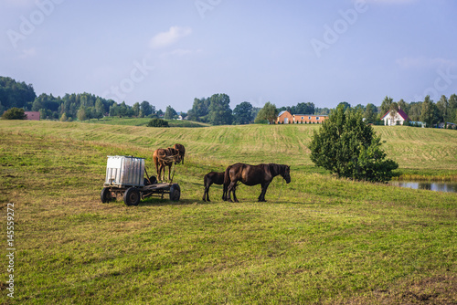 Countryside near Koscierzyna town in Cassubia region of Poland