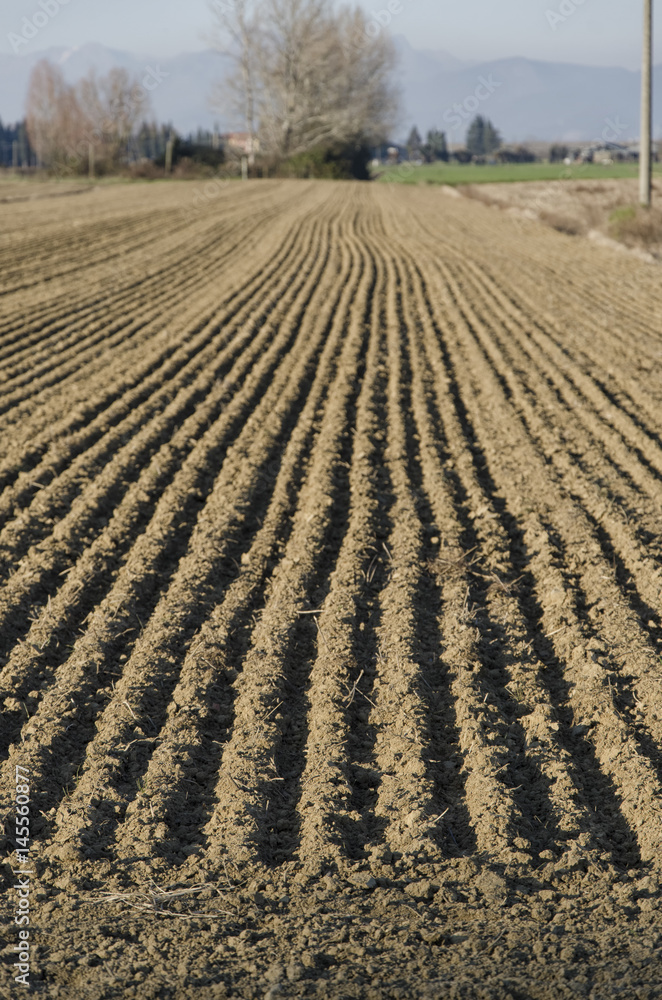 Freshly plowed ground Freshly plowed ground