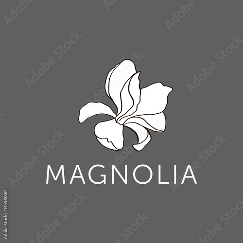 Magnolia flower outline sketch v.4