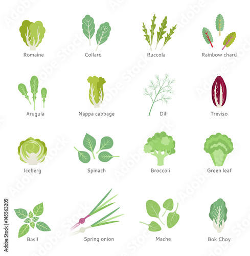 Leafy vegetables vector flat icons set.