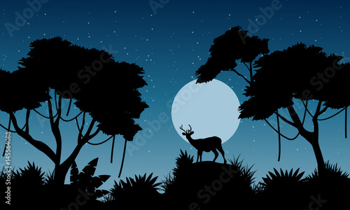 Silhouette of deer on the jungle landscape