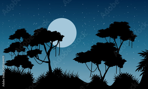 Jungle scenery at night silhouette