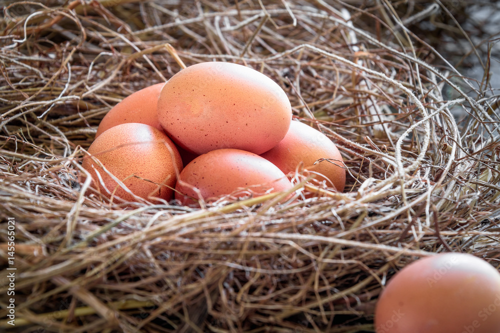 Eggs in straw / Fresh farmer's eggs. Eggs in straw / Fresh farmer's eggs.