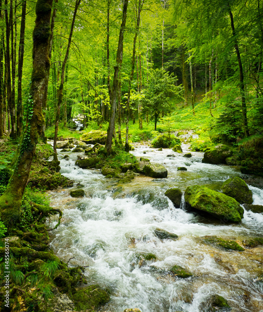 Fototapeta premium Waterfalls of Herisson in Jura France