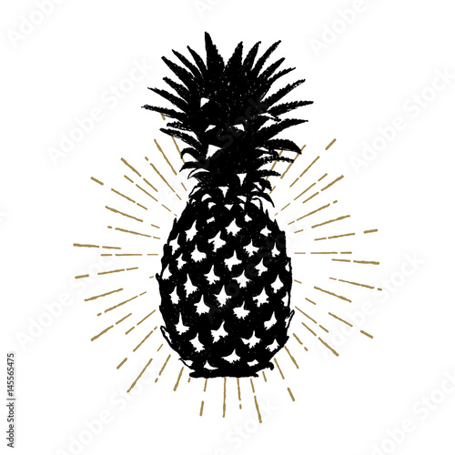 Hand drawn icon with textured pineapple vector illustration.