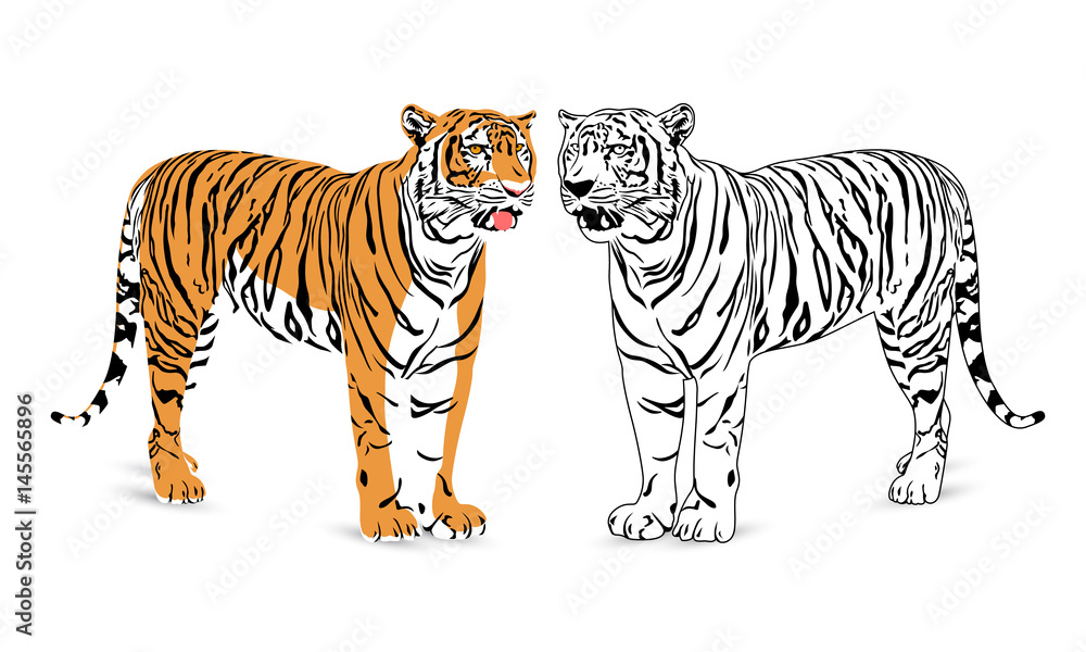 Obraz premium Tiger silhouette illustration. Wild life animals. isolated on white background.