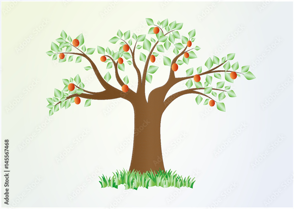 Fototapeta premium single summer tree with green leaves and red fruit, vector, horizontal