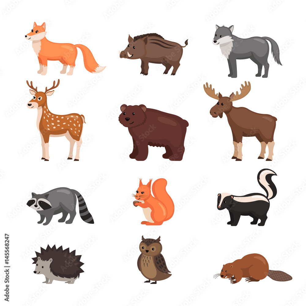 Forest animals set.