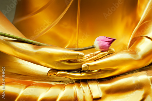 Slika na platnu Lotus in hand image of buddha