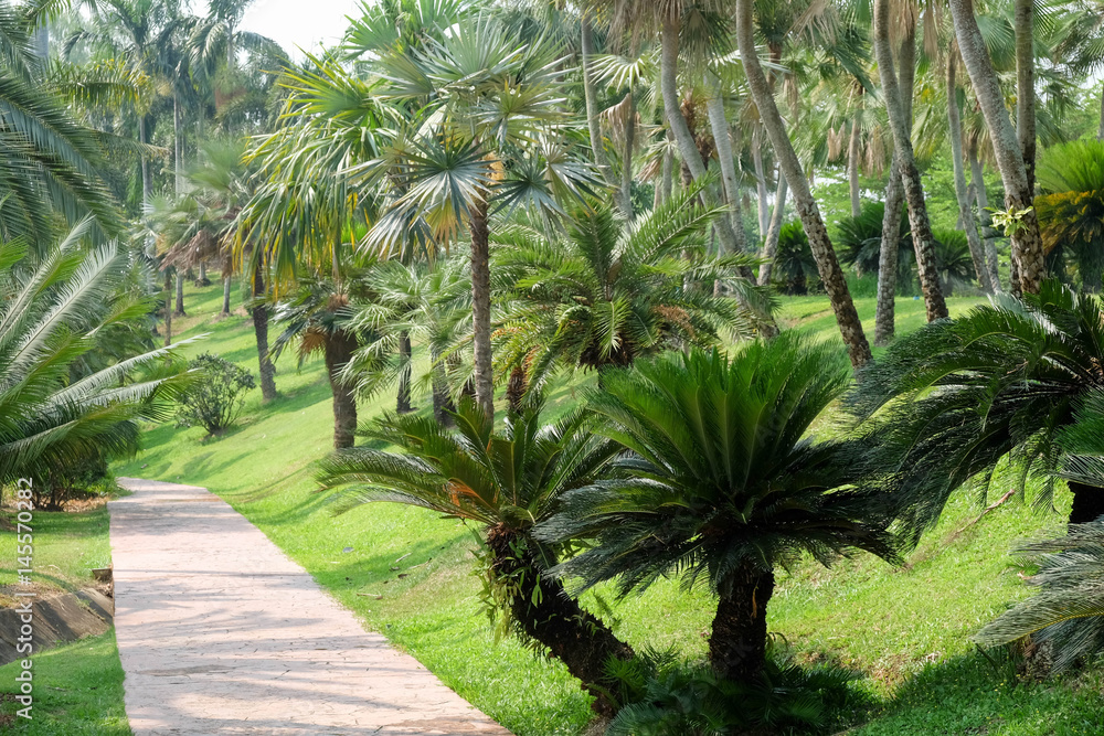 Trees in the shade garden Trees in the shade garden