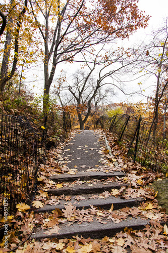 Central Park Path