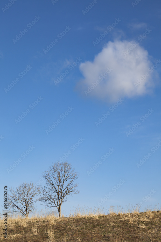 Obraz premium 春の丘