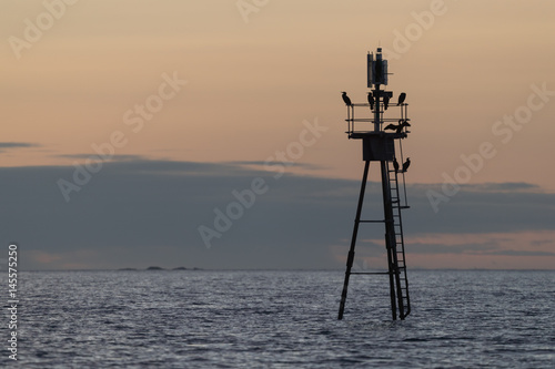 Cormorant silhouettes in light mast at sea