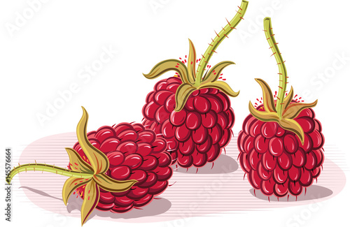 Three ripe raspberries on white background.