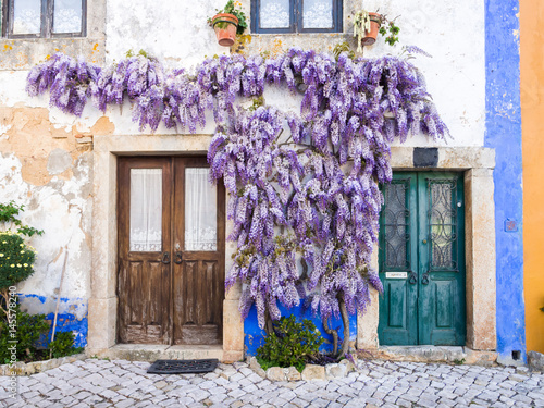 Fotografie Purple wisteria plant growing arounf doors of an old house in Portugal