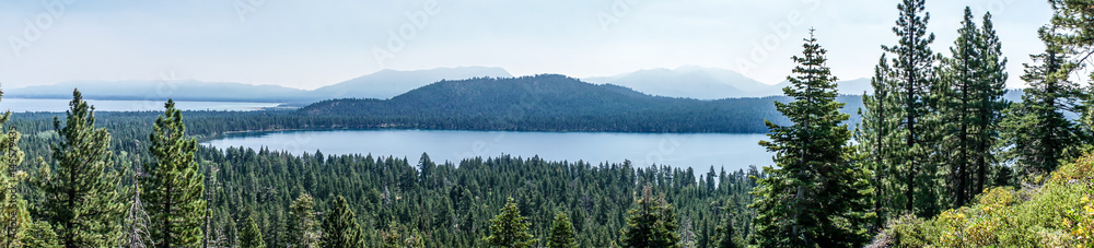 Fototapeta premium Fallen Lear Pano