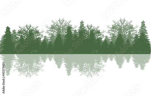 Reflection wood and tree