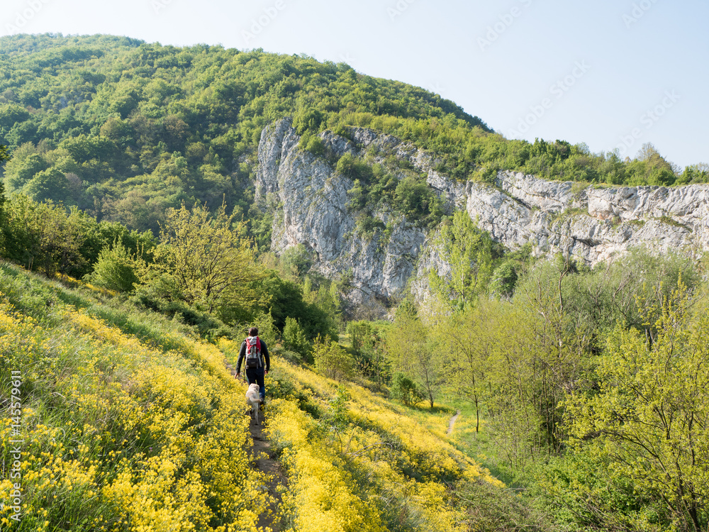 Cheile Nerei National Park Romania with hiker and dog on path