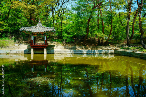Changdeokgung Palace Secret Garden                  