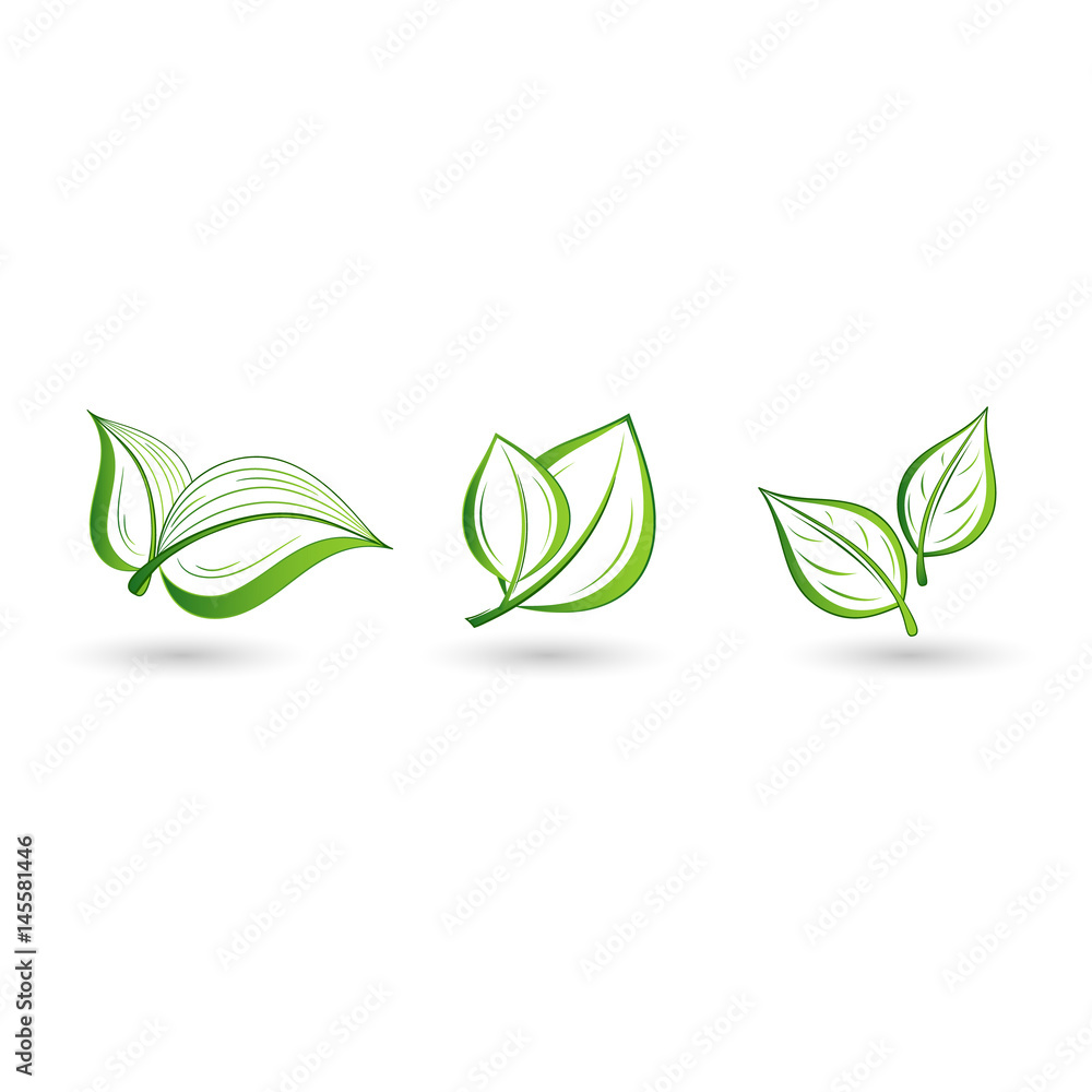 Set of green leaves. Element for design.