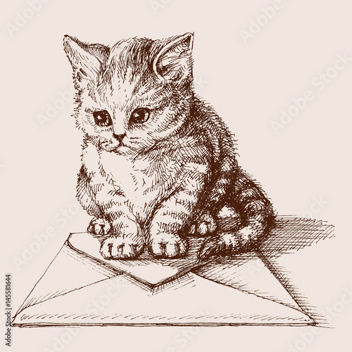 Small cat sitting on an envelope