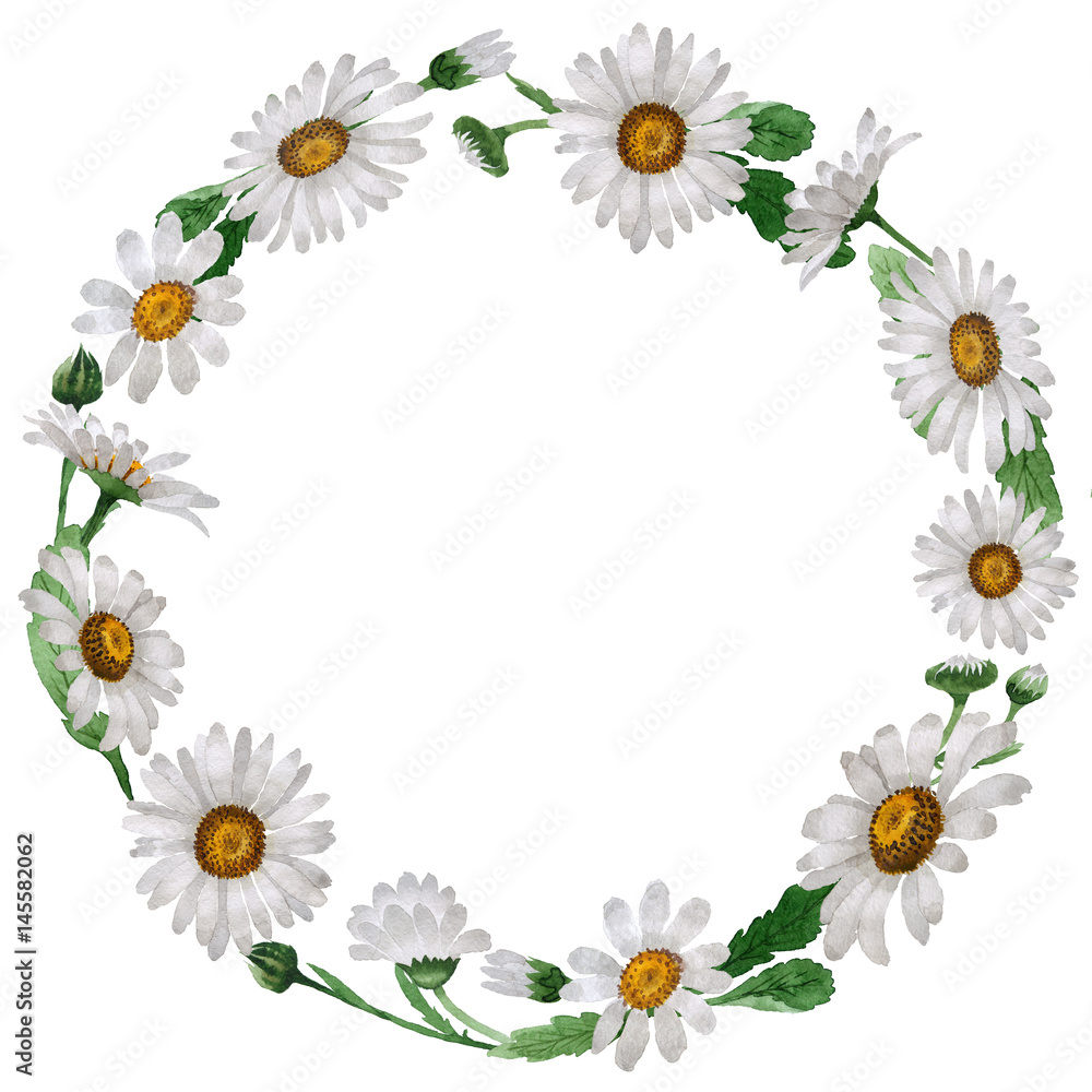 Wildflower chamomile flower wreath in a watercolor style isolated. Wildflower chamomile flower wreath in a watercolor style isolated.