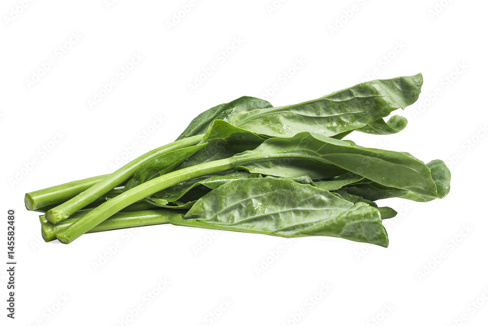 hinese kale vegetable isolated on white background. hinese kale vegetable isolated on white background.