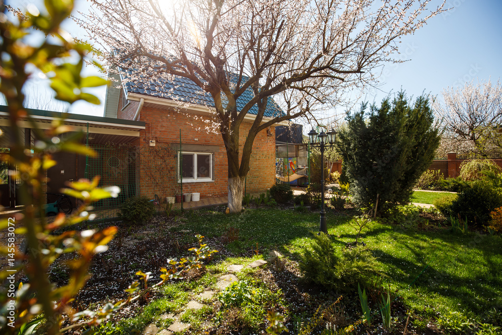 Backyard garden with green spaces, plants, flowers and trees in spring Backyard garden with green spaces, plants, flowers and trees in spring
