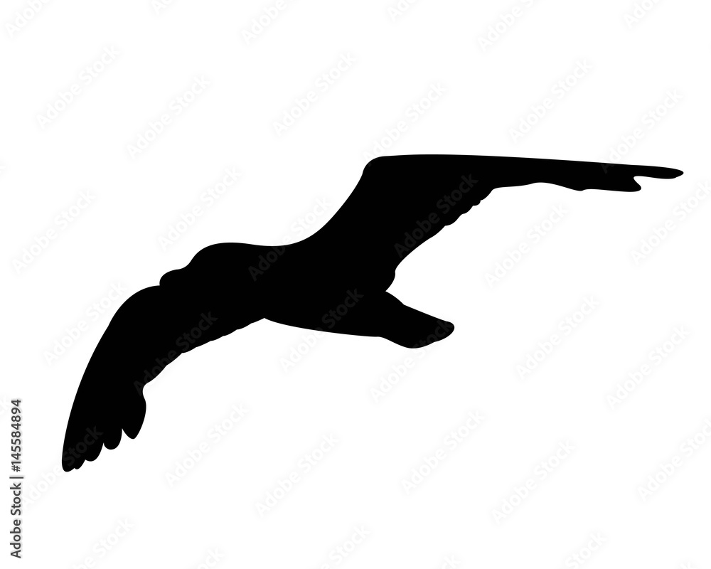 Fototapeta premium gabbiano che vola pittogramma silhouette nero vettoriale