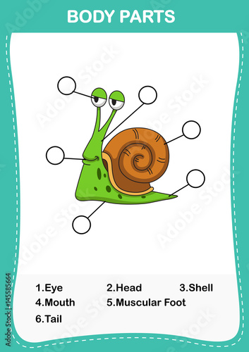 Illustration of snail vocabulary part of body,Write the correct numbers of body parts