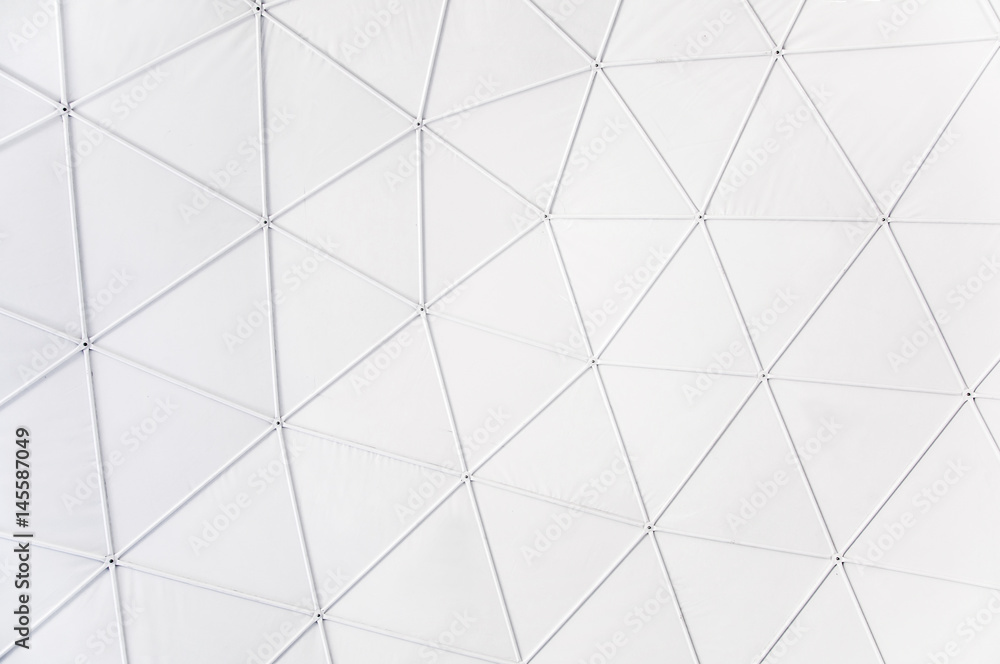 geodesic background geodesic background