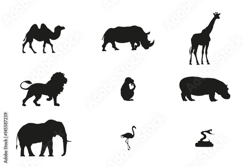 Zoo minimal vector illustration, animals silhouette isolated on a white background