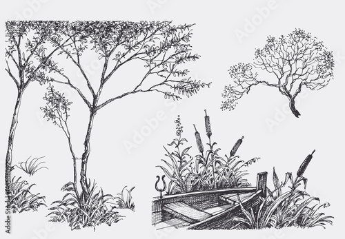 Nature design elements, trees, boat, vegetation drawings