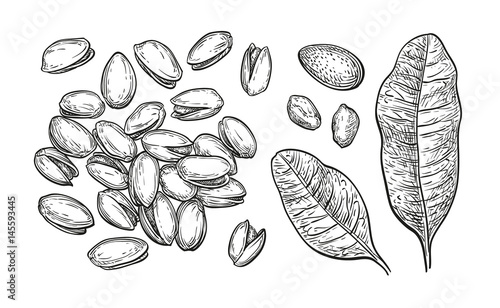Pistachio nuts set.