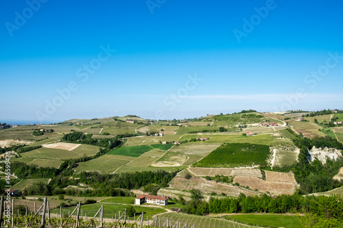 Vineyards on hills in the Langhe region, Piedmont, Italy