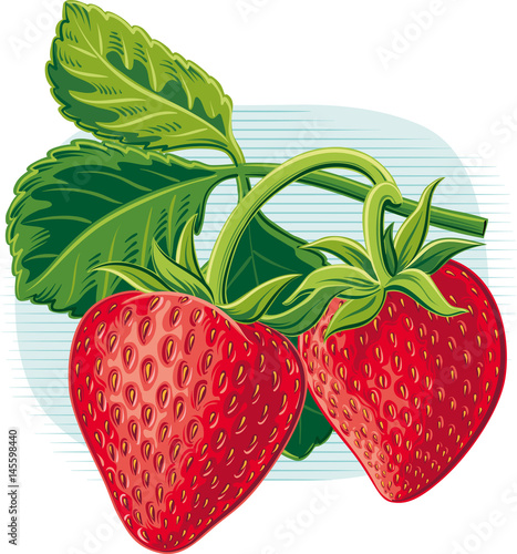 Sprig with leaves and ripe strawberries.