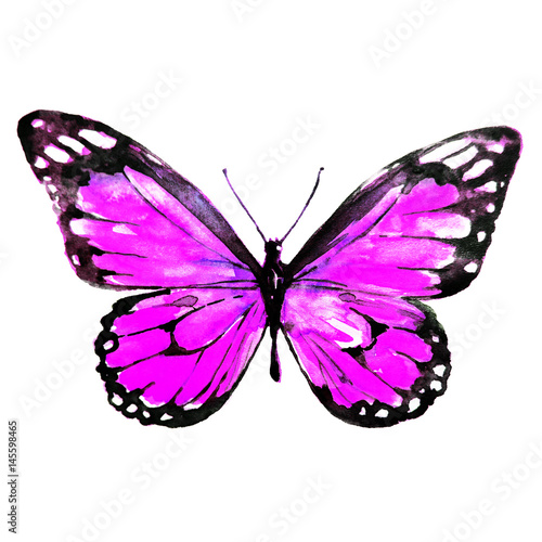 beautiful violet butterfly,watercolor,isolated on a white © aboard