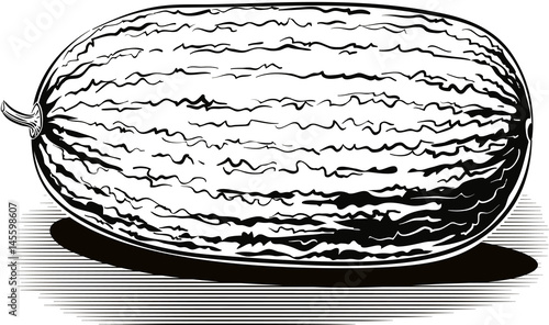 whole watermelon on the white background.