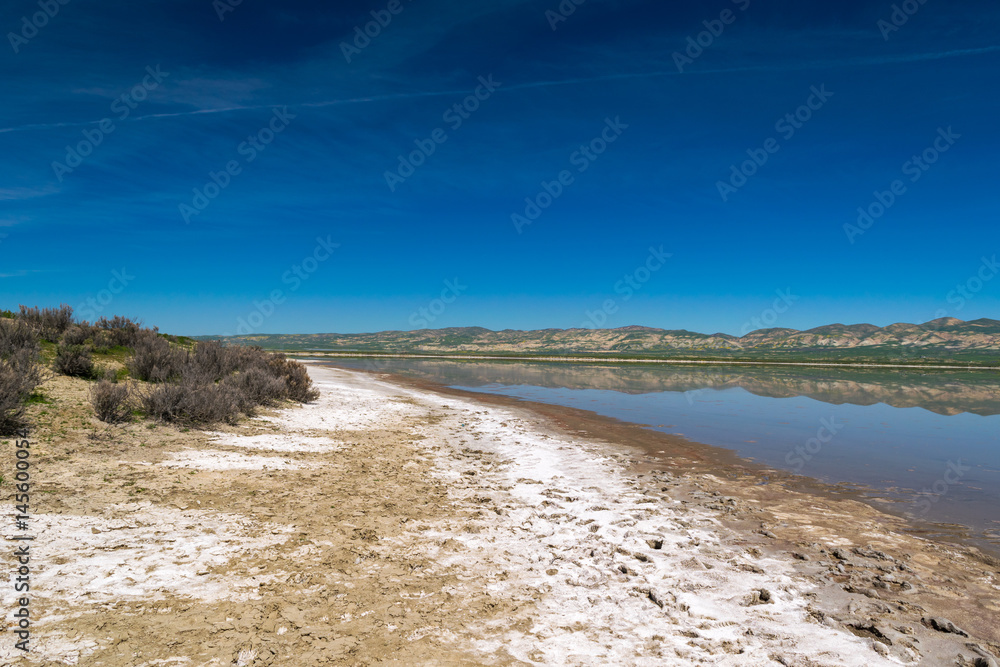 Carrizo Plain National Monument, San Andreas Fault (boundary between the Pacific Plate and the North American Plate), California USA, North America