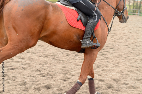 A rider on horseback overcomes obstacles.