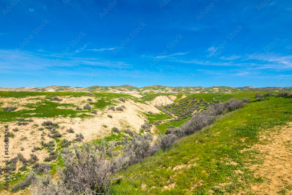 Wallace Creek, Carrizo Plain National Monument, San Andreas Fault (boundary between the Pacific Plate and the North American Plate), California USA, North America Wallace Creek, Carrizo Plain National Monument, San Andreas Fault (boundary between the Pacific Plate and the North American Plate), California USA, North America