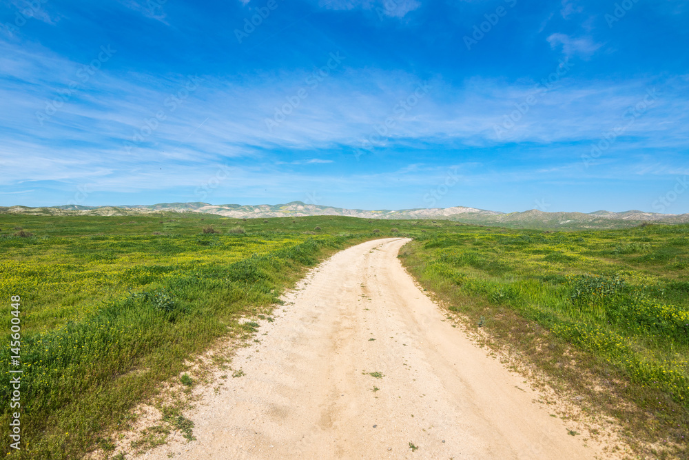 Carrizo Plain National Monument, San Andreas Fault (boundary between the Pacific Plate and the North American Plate), California USA, North America