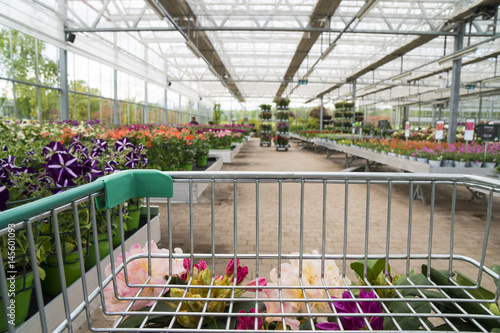 Canvas Print Garden center seen from the cart