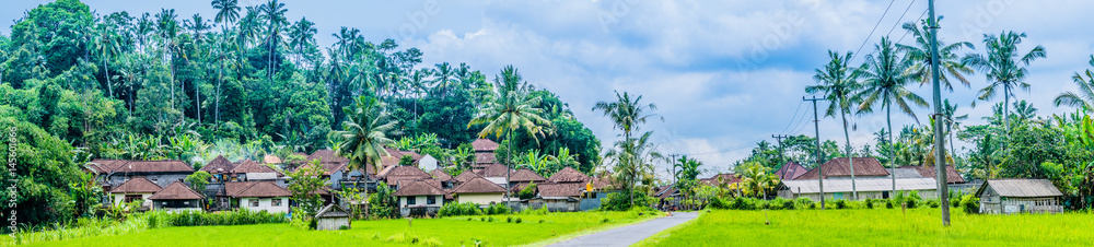 Town houses near rice tarrace field under palm trees in Sidemen district. Bali, Indonesia