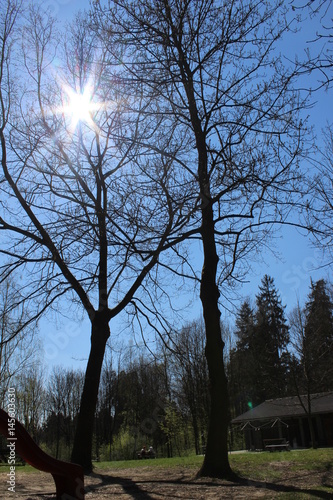 Spring nature