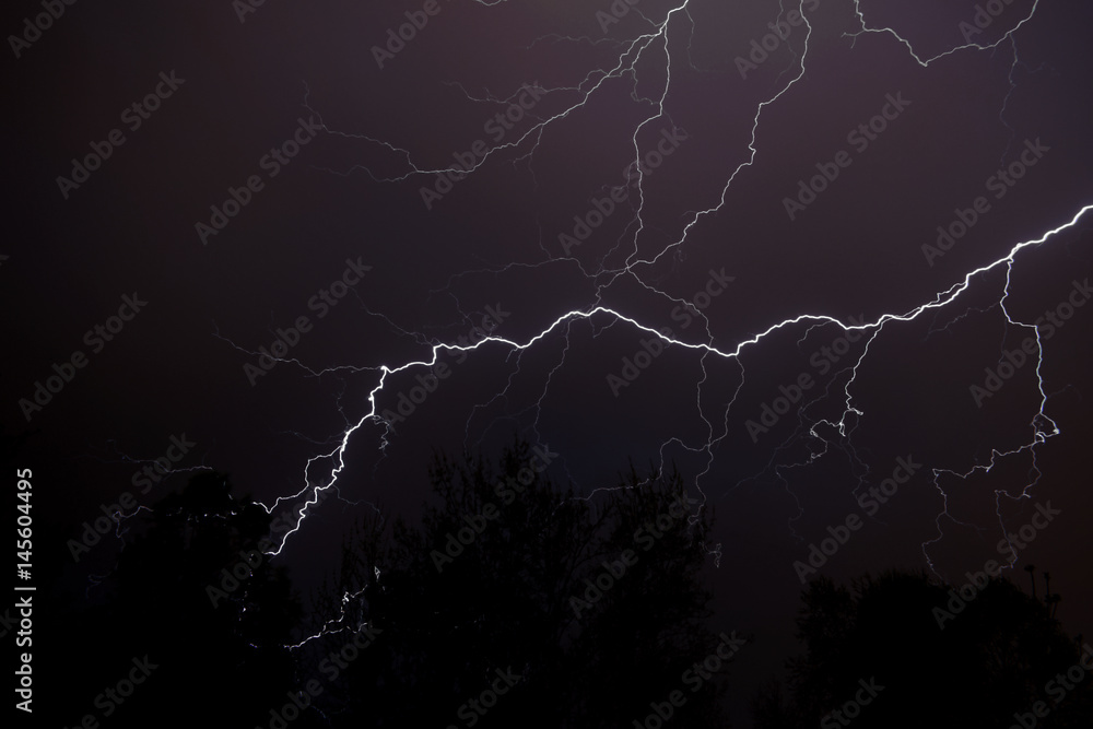 Lightning Above Woods Lightning Above Woods