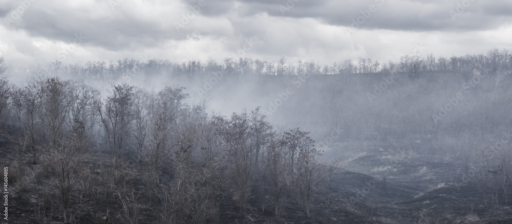 Black charred trees and grass in the smoke after the fire in the valley the gloomy clouds background. Black charred trees and grass in the smoke after the fire in the valley the gloomy clouds background.