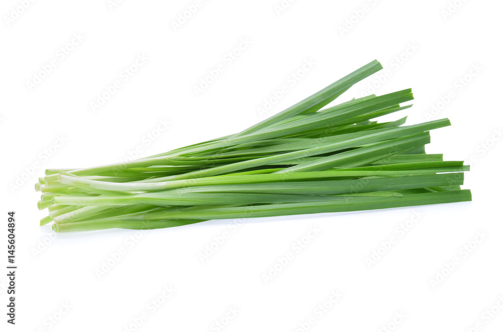Garlic chives isolated on white background Garlic chives isolated on white background